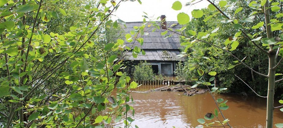 Бокситы затопило. На трассе пробка, дома в воде, кот Васька по крыше ходит