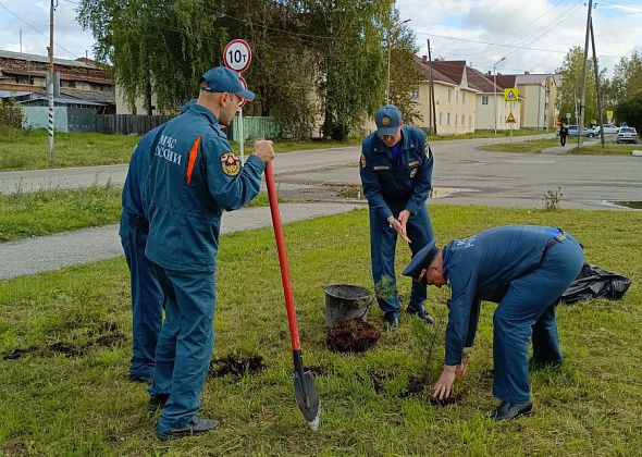 Карпинские спасатели высадили на своей территории ели и сосны