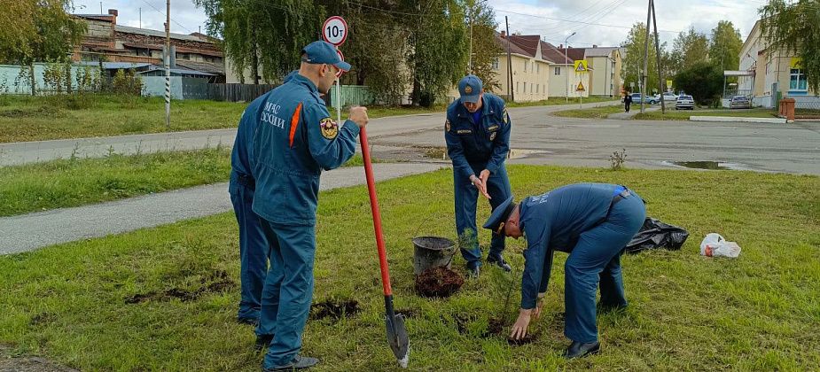 Карпинские спасатели высадили на своей территории ели и сосны