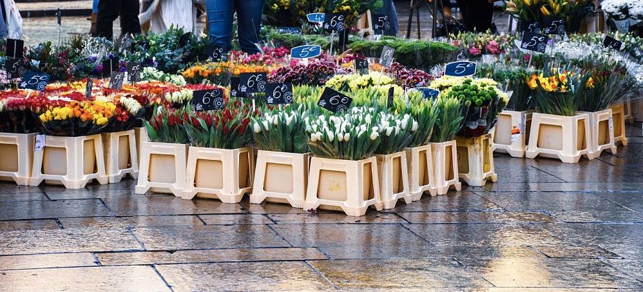 Популярные цветы для подарочных букетов и тренды флористики