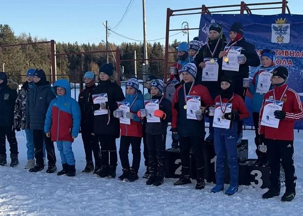 Команда школы №2 стала лучшей в городском первенстве по лыжным гонкам