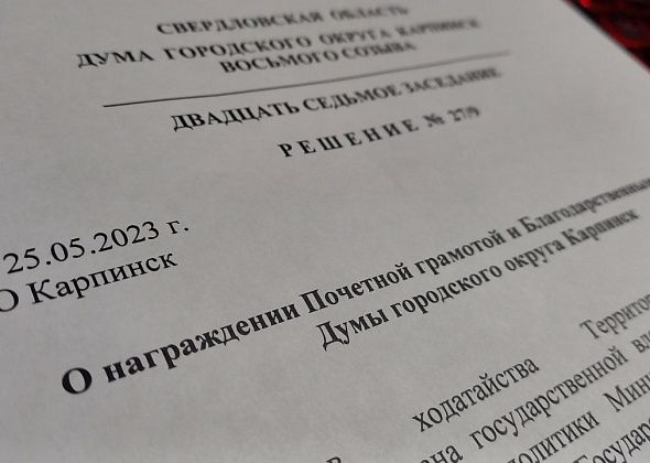 Депутаты отметили наградами Думы девять соцработников и одного предпринимателя