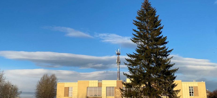 Сегодня на площади Карпинска была установлена новогодняя ель