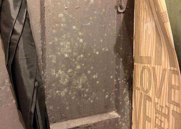 В УК «Дом» прокомментировали жалобы жильцов на плесень в двухэтажке по Ленина