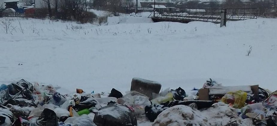 Заниматься уборкой нелегальных свалок будет местный предприниматель