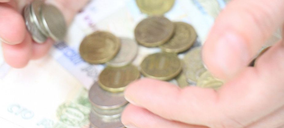 Депутаты поручили Контрольному органу провести несколько проверок