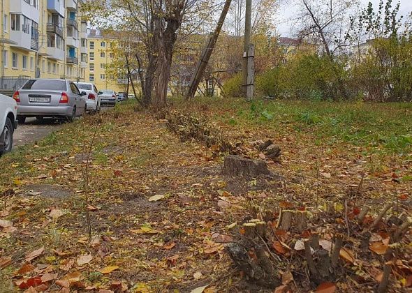 Некоторые жильцы дома по Куйбышева остались недовольны обрезкой всех кустов во дворе