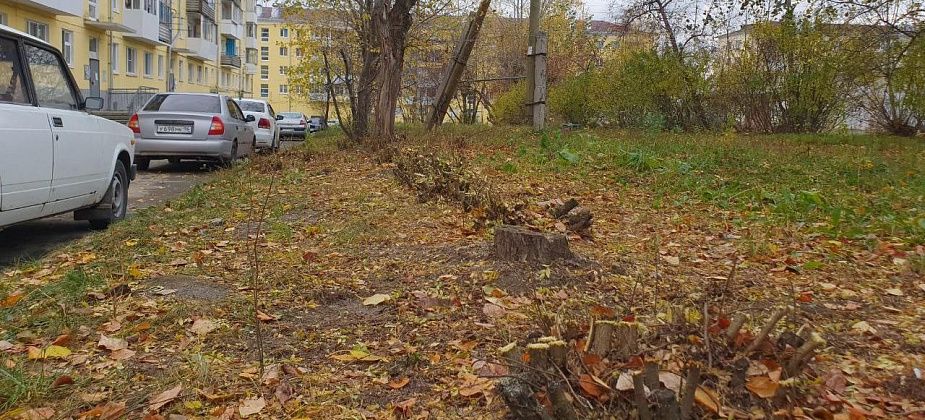 Некоторые жильцы дома по Куйбышева остались недовольны обрезкой всех кустов во дворе