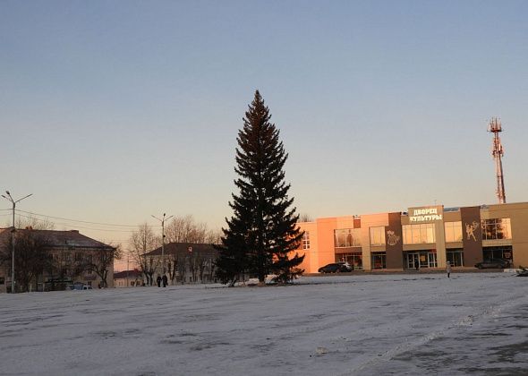 На городской площади поставили новогоднюю елку