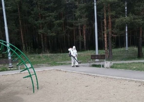 Защищать Карпинск от клещей будет «Космос»