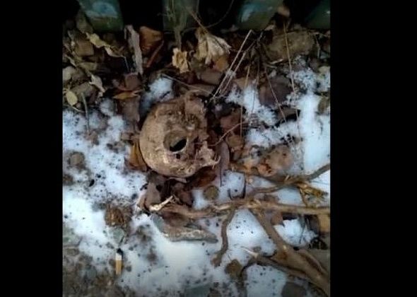 На краснотурьинском кладбище нашли человеческий череп. ВИДЕО