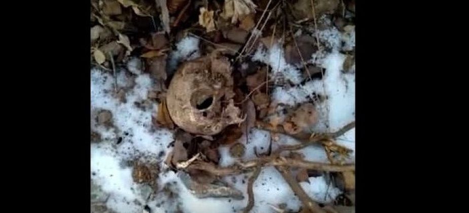 На краснотурьинском кладбище нашли человеческий череп. ВИДЕО