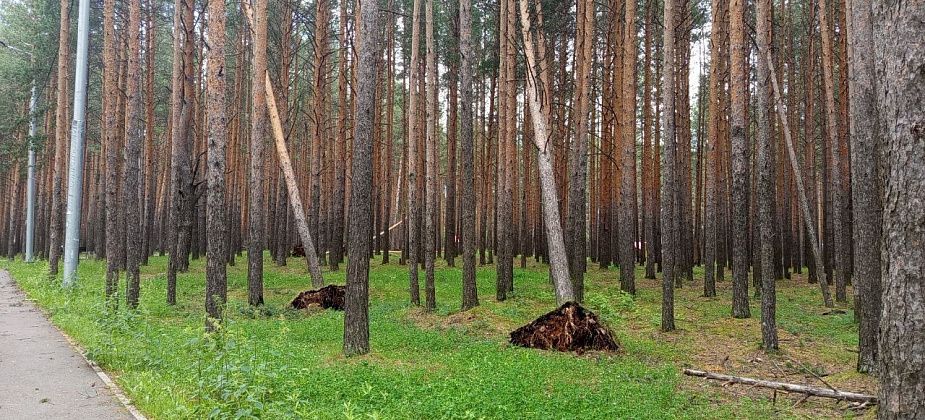 Мэр Карпинска прокомментировал ситуацию с последствиями урагана 22 июня