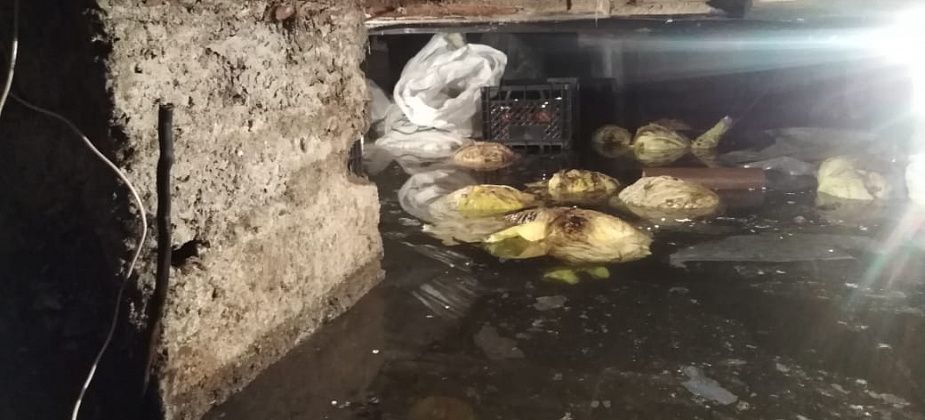 Подпол полон воды из-за порыва на водоводе. МУП «Ресурс» уже две недели не может решить проблему
