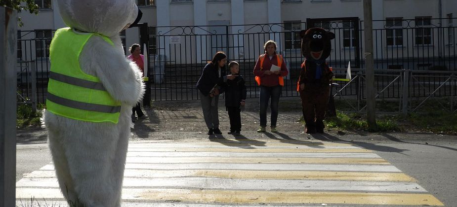 На пешеходном переходе по улице Куйбышева дежурили... "медведи"