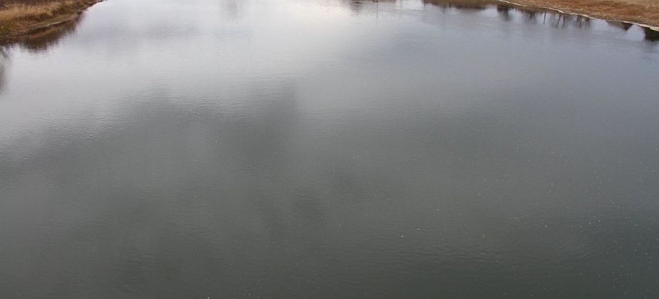 “Спасите Шемур! Погибают реки и леса!”. Общественники запустили петицию в защиту уральской природы