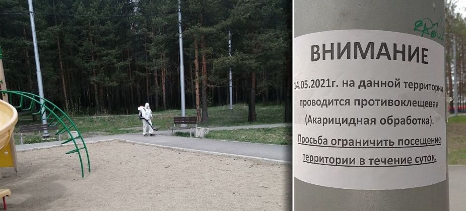 Комсомольский парк обработали от клеща