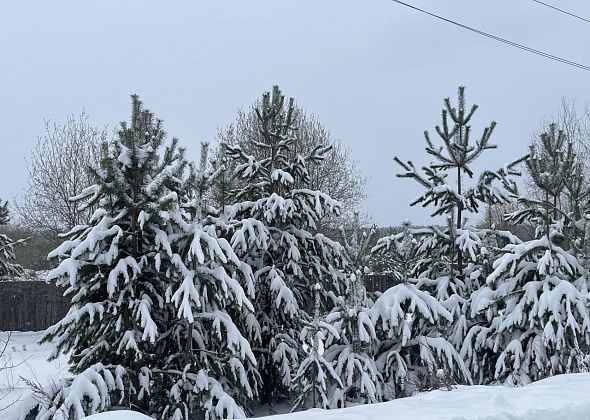 За пять дней апреля на севере области выпало более 120% месячной нормы осадков