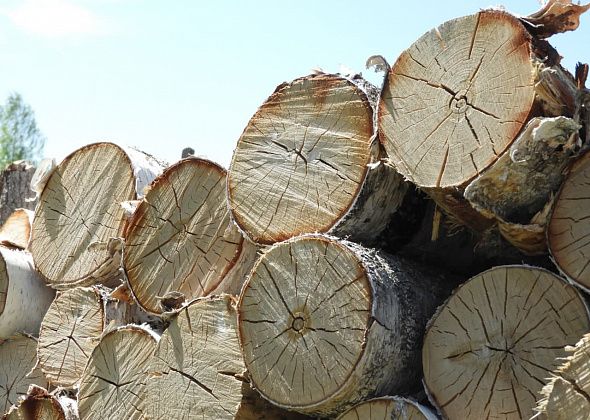 «Карпинский химлесхоз» перестал продавать горожанам дрова