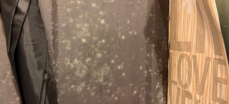 Жильцы двухэтажки по Ленина уже полгода страдают от плесени в квартирах и ждут помощи от УК