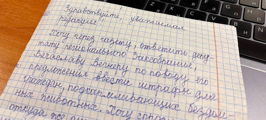 Жительница Карпинска высказалась об идее депутата ЗакСо ввести штрафы за кормежку бездомных собак