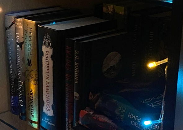 Карпинцам предлагают поставить ненужные книги на «полку добра»