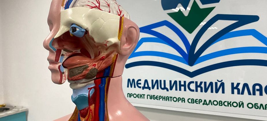 В карпинской школе №5 прошел городской профориентационный фестиваль будущих медиков
