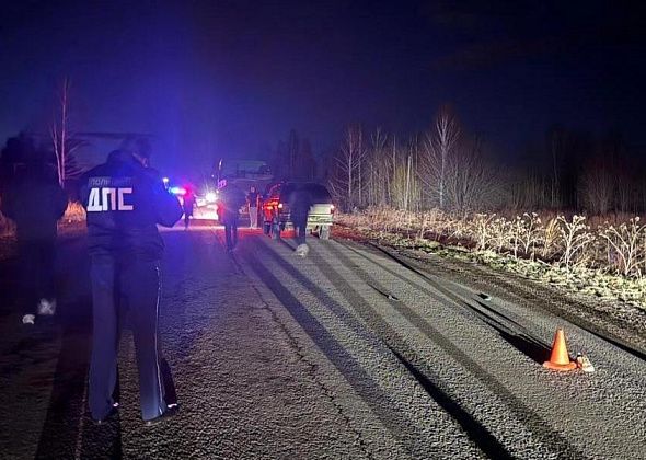 В Волчанске насмерть сбили пешехода. Водитель скрылся, но вскоре его поймали