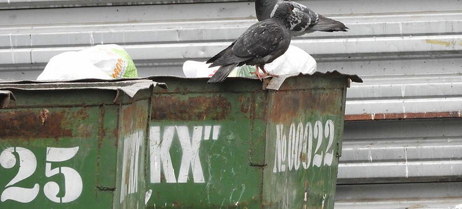 Как в Карпинске будет вывозиться мусор в праздничные дни