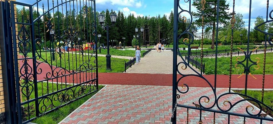 В парке вырастут туи и другие интересные деревья: на озеленение ДКУ выделено более 10 млн рублей
