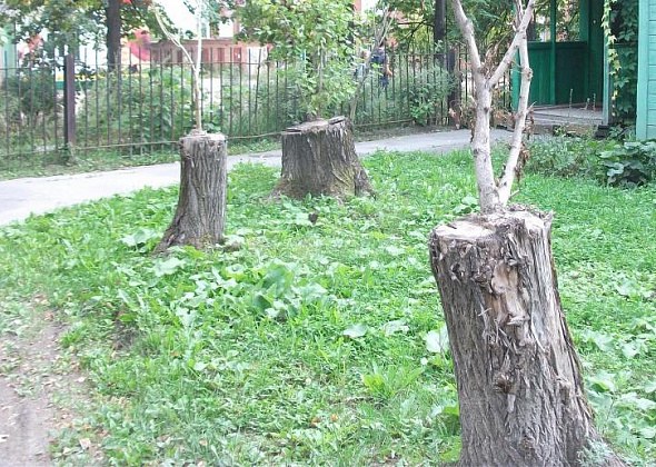 В Карпинске планируется спилить 123 дерева за 231 тысячу рублей