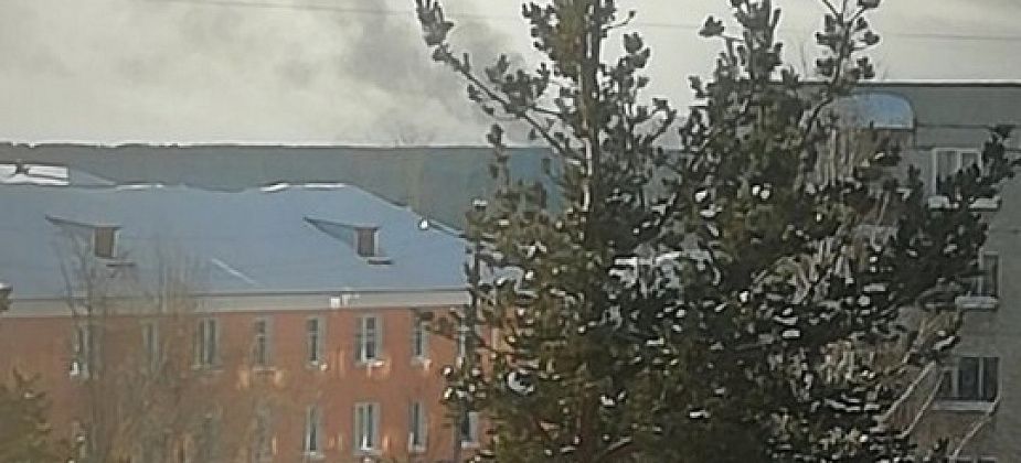 Карпинцы заметили столб дыма со стороны леса. Рассказываем, что горело