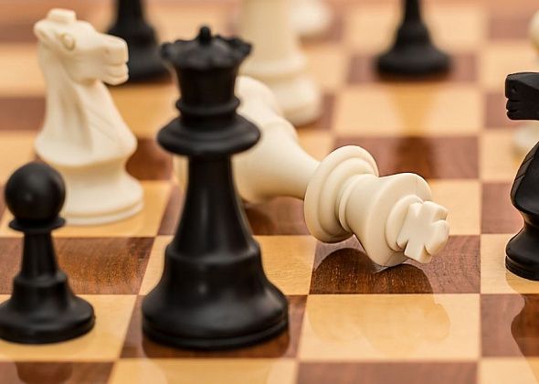 Карпинские шахматисты стали лучшими на областном турнире