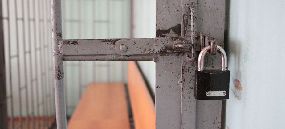 В Карпинске осудили отца за развратные и насильственные действия в отношении 12-летней падчерицы