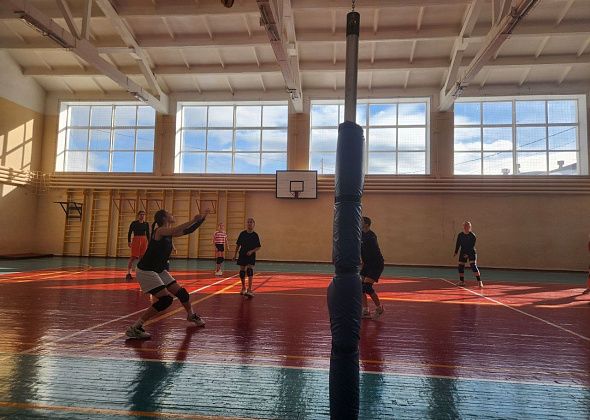 В карпинском ФОКе пройдет открытый Кубок по волейболу