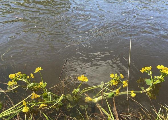 На Андрюшинском водохранилище утонул человек