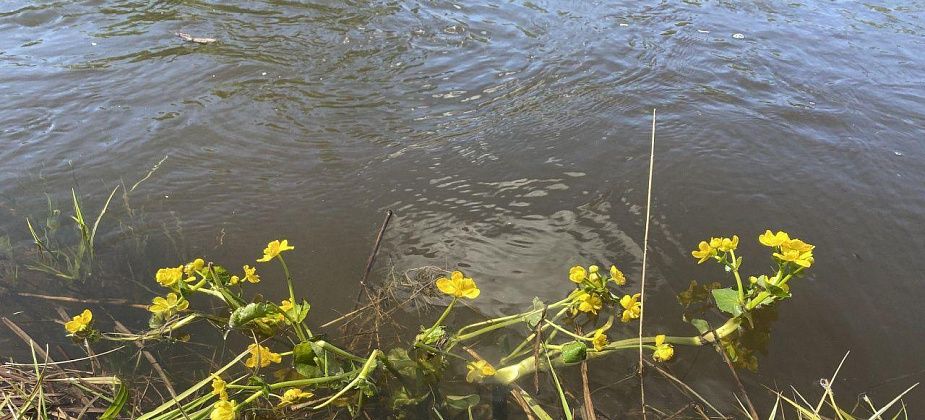 На Андрюшинском водохранилище утонул человек