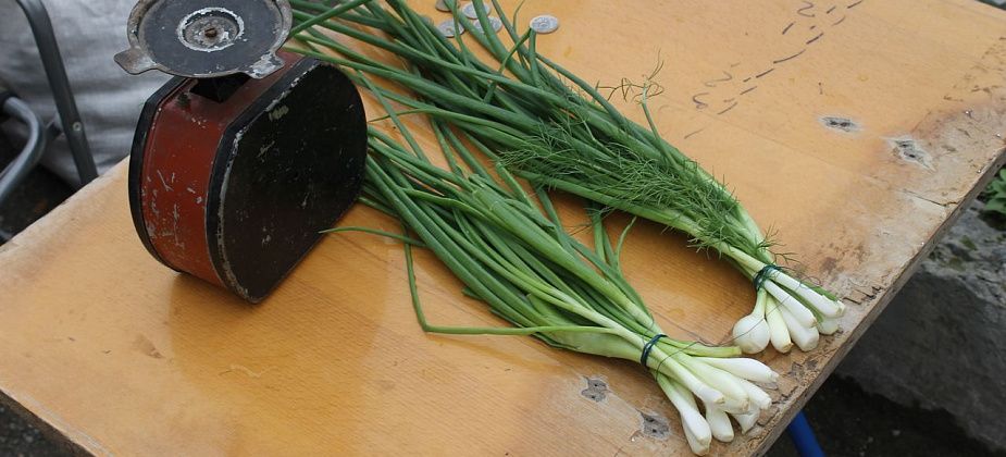 Мэрия согласовала даты проведения городских ярмарок на апрель