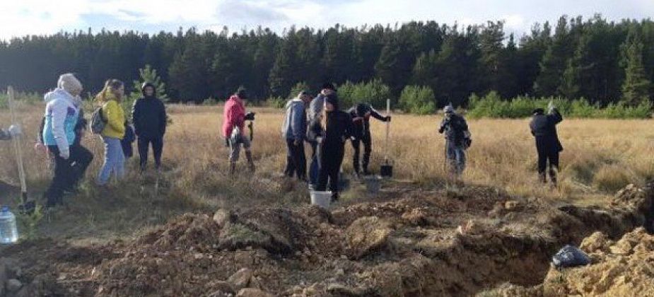 В Комсомольском парке высадили саженцы