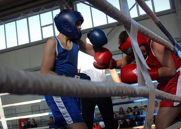 Карпинские боксеры завоевали в соседнем городе «золото» и четыре «бронзы»