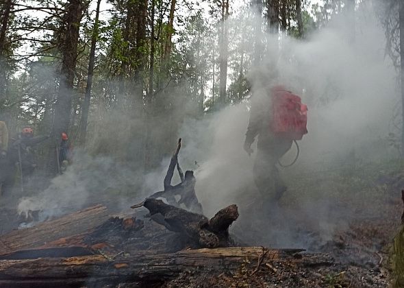 Поджигатель и молния. В результате пожара в “Денежкином Камне” возбуждено уголовное дело