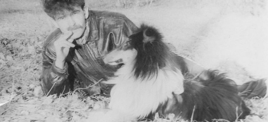 Пять собак и открытка