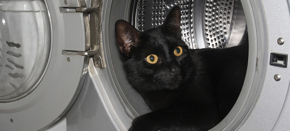 Как выбрать «умную» стиральную машинку?