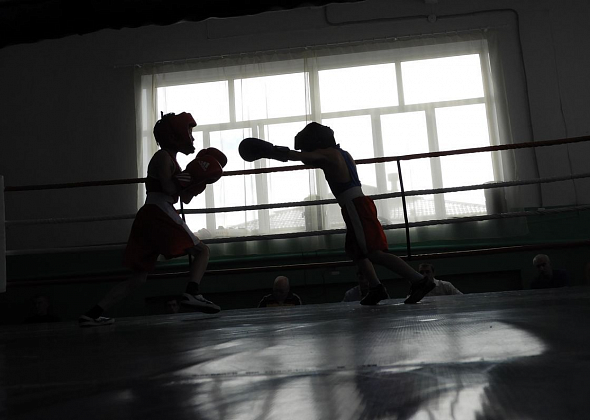 На традиционный «Мемориал Дмитрия Бочкарева» заявилось порядка 70 боксеров