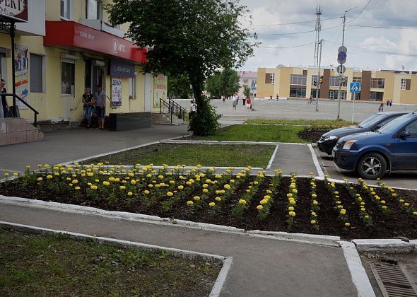 Озеленять Карпинск снова будет фирма из Нижнего Тагила