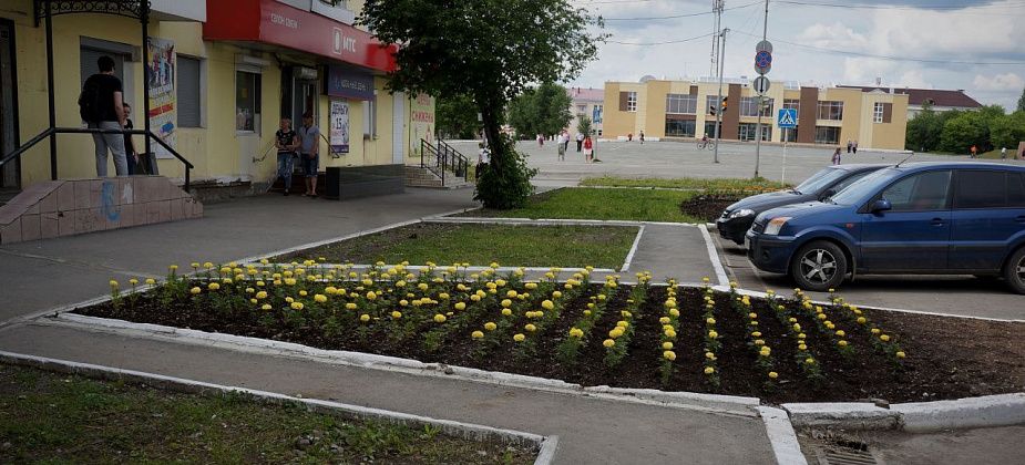 Озеленять Карпинск снова будет фирма из Нижнего Тагила