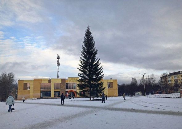 На центральной площади установили новогоднюю ель