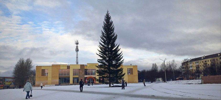 На центральной площади установили новогоднюю ель