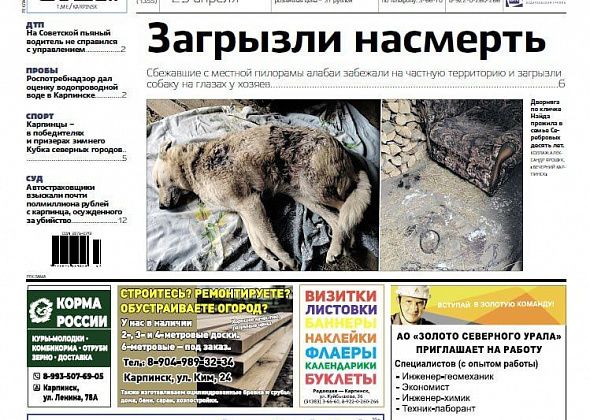 Собаку загрызли на глазах у хозяев, а пьяный водитель угодил в канаву – обо всем в «Вечернем Карпинске»