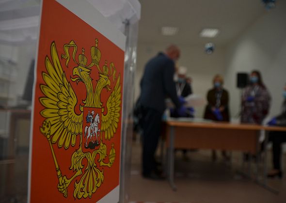 В Свердловской области возобновляются приостановленные из-за пандемии избирательные кампании 